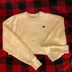 NWOT Champion Reverse Weave Crop Pullover